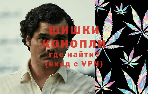 PSILOCYBIN Алексин
