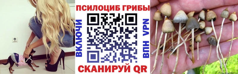 Псилоцибиновые грибы MAGIC MUSHROOMS Андреаполь